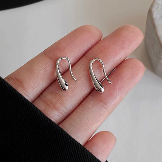 925 Sterling Silver Water Drop Shape Earrings